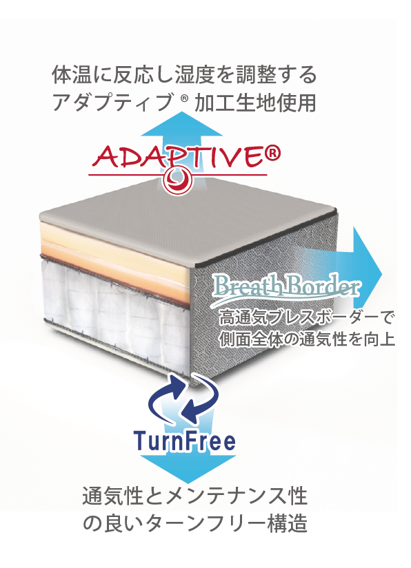 3Ddrysystem