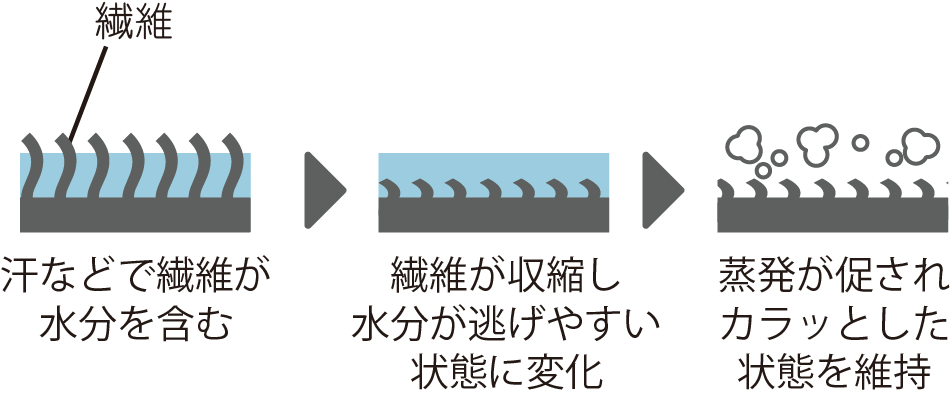 adaptivemechanism